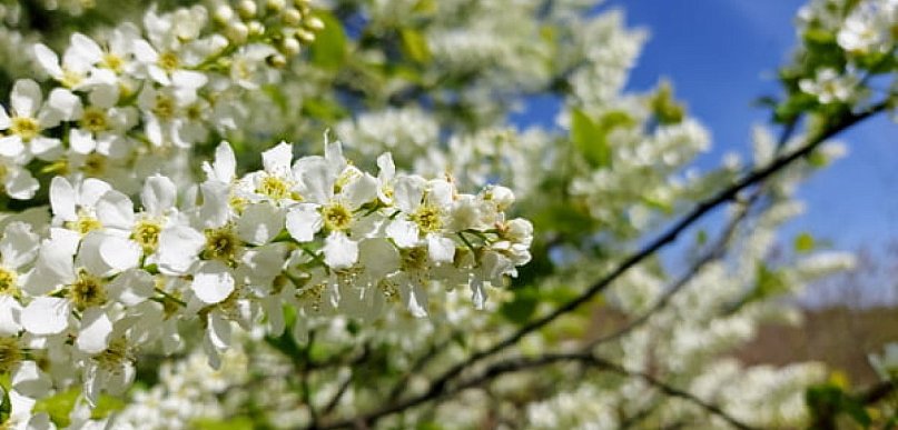 Legionowski: W ten weekend pogoda zaskoczy. W jaki sposób?