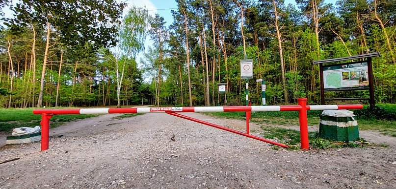 Legionowo: Groźny pożar lasu przy Zakopiańskiej