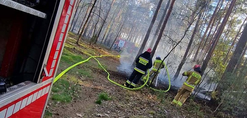 Nie pada od tygodni. Seria pożarów traw i ściółki w powiecie legionowskim