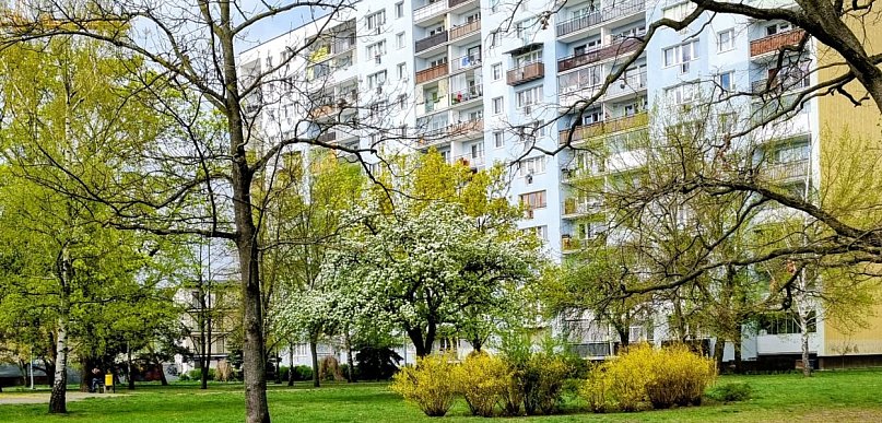 Legionowski: Jaka pogoda w weekend? Czy przydadzą się parasole?