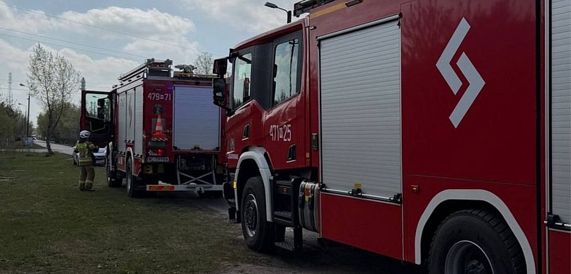 Łajski: Pożar drzew przy Sikorskiego zagrażał budynkom