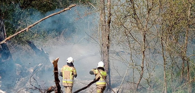 Jabłonna: Dwa pożary traw. Podczas jednego spłonęło auto
