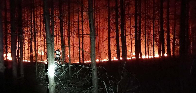 Nocny pożar lasu w gminie Nieporęt. Strażacy apelują do mieszkańców