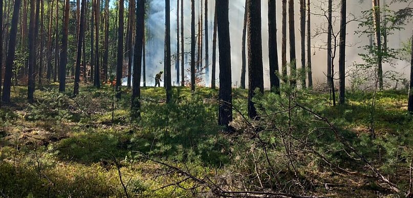 Gmina Nieporęt: Dwa groźne pożary lasów