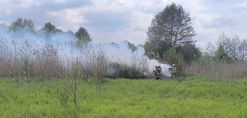 Pożar samochodu w pobliżu jeziora Góra. Auto nie miało tablic rejestracyjnych