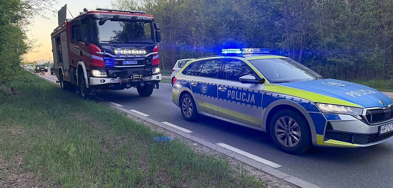 Wieliszew: Toyota potrąciła młodego łosia. Zwierzę trzeba było uśpić