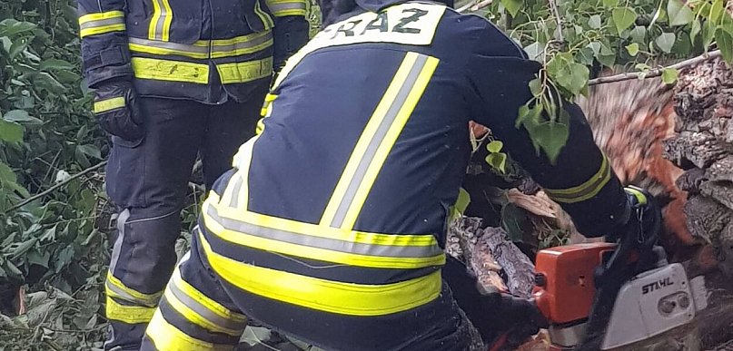Jabłonna: Drzewo zablokowało ruch na DW630