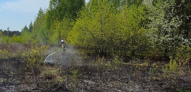 Wieliszew: Pożar trawy i krzaków przy Modlińskiej