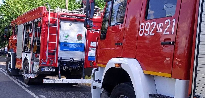 Serock: 83-latka zasłabła za kierownicą. Wjechała w tuje