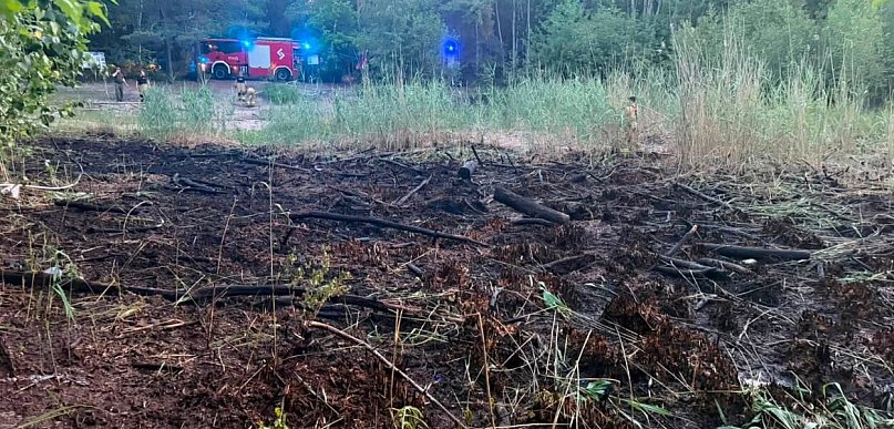 Strażacy gasili pożar lasu przy Jeziorku Leśniczówka
