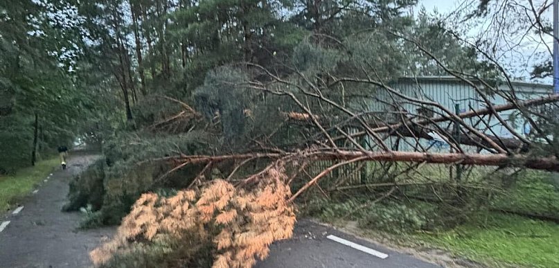 Burze nad powiatem legionowskim. Pożar po uderzeniu pioruna i zalewana posesja