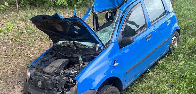 Zderzenie pandy z łosiem na DW622. Auto do kasacji, zwierzę uciekło