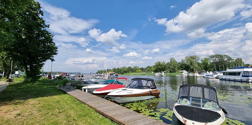 Kampery, namioty i kino plenerowe. Nowa inwestycja turystyczna w Nieporęcie