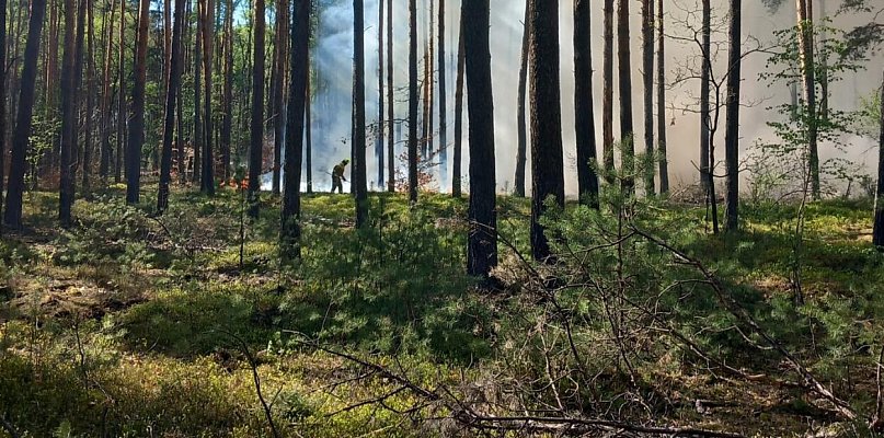 Gmina Nieporęt: Dwa groźne pożary lasów