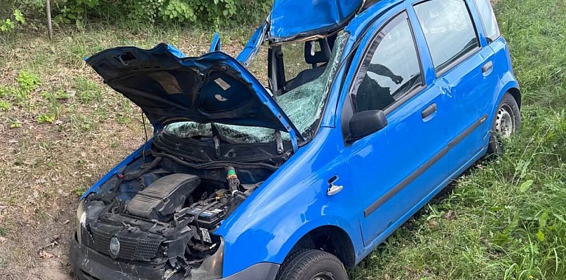 Zderzenie pandy z łosiem na DW622. Auto do kasacji, zwierzę uciekło