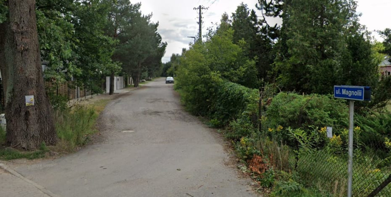 Ul. Magnolii w Dąbrowie Chotomowskiej. Fot. Google Street View