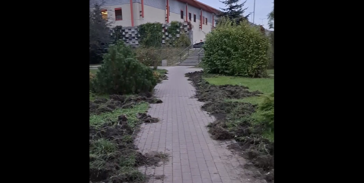 Fot, screen z wideo / Mirosław Grabowski