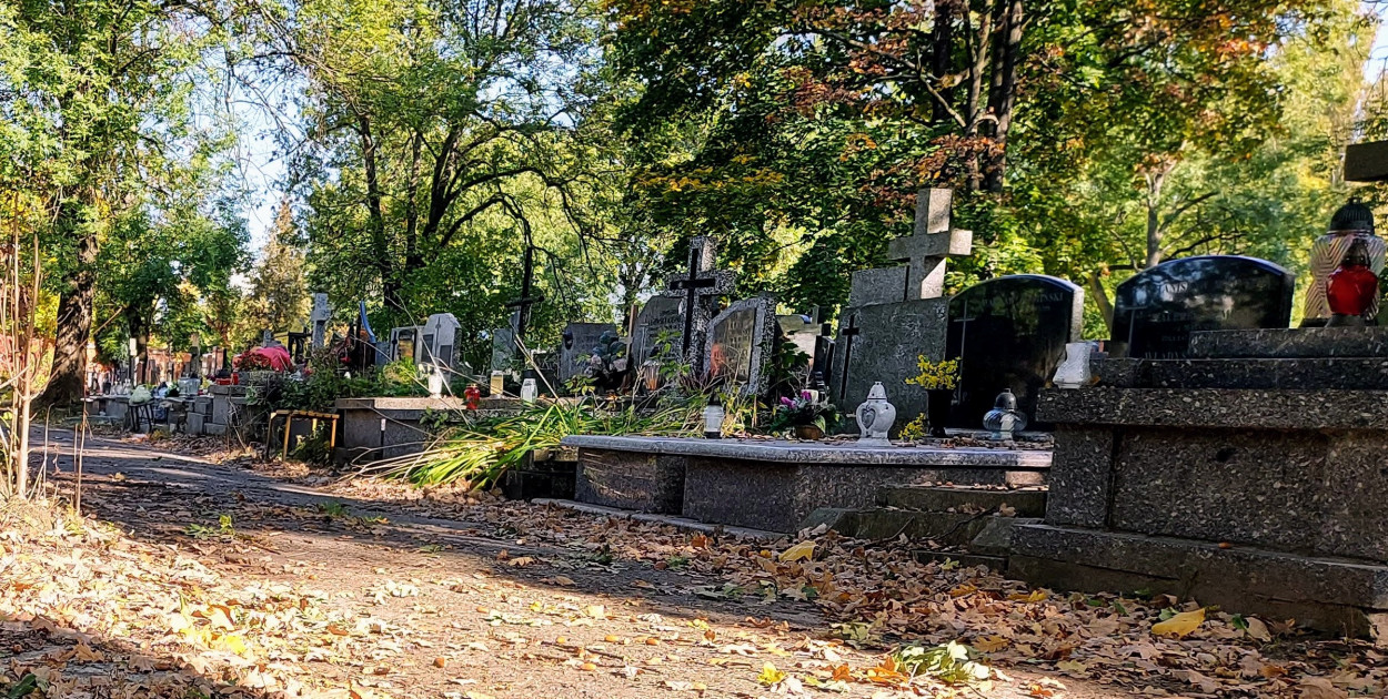 Zdj. ilustracyjne, źródło: arch. Legio24.pl