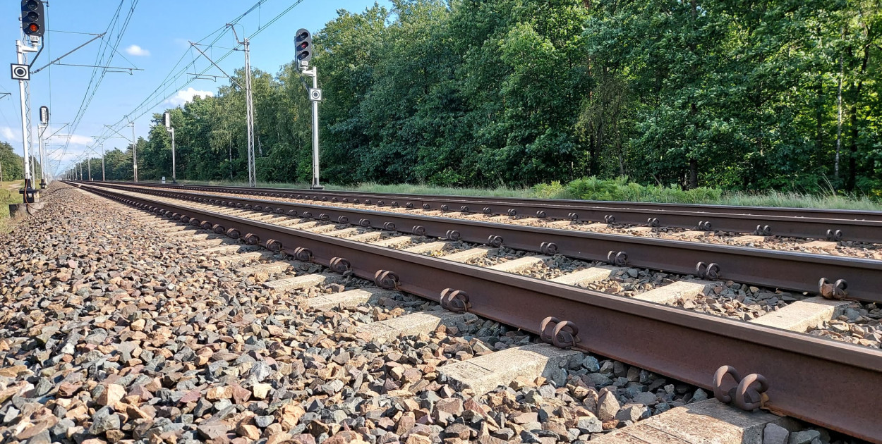 Zdj. ilustracyjne, źródło: arch. Legio24.pl