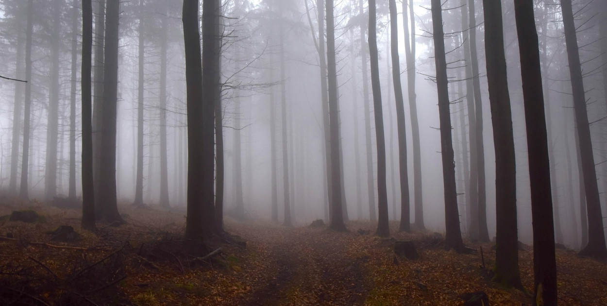 Zdjęcie poglądowe, fot. pixabay.com