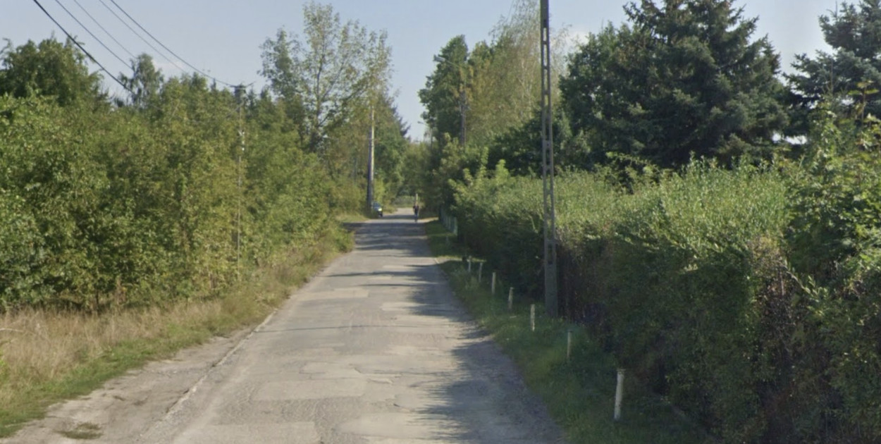 Ul. Leśna w Michałowie-Reginowie. Fot. Google Street View