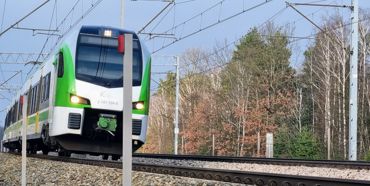 Zdj. ilustracyjne, źródło: arch. JM/Legio24.pl