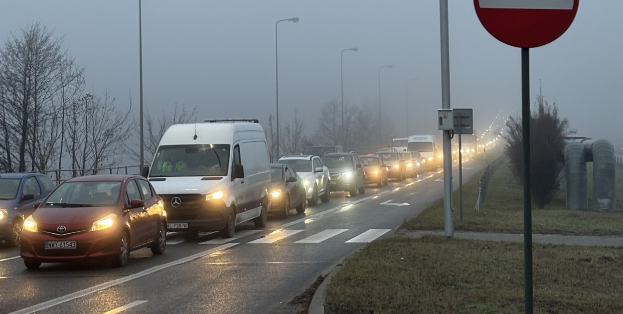 Fot. fb / Kamila Niewiadomska