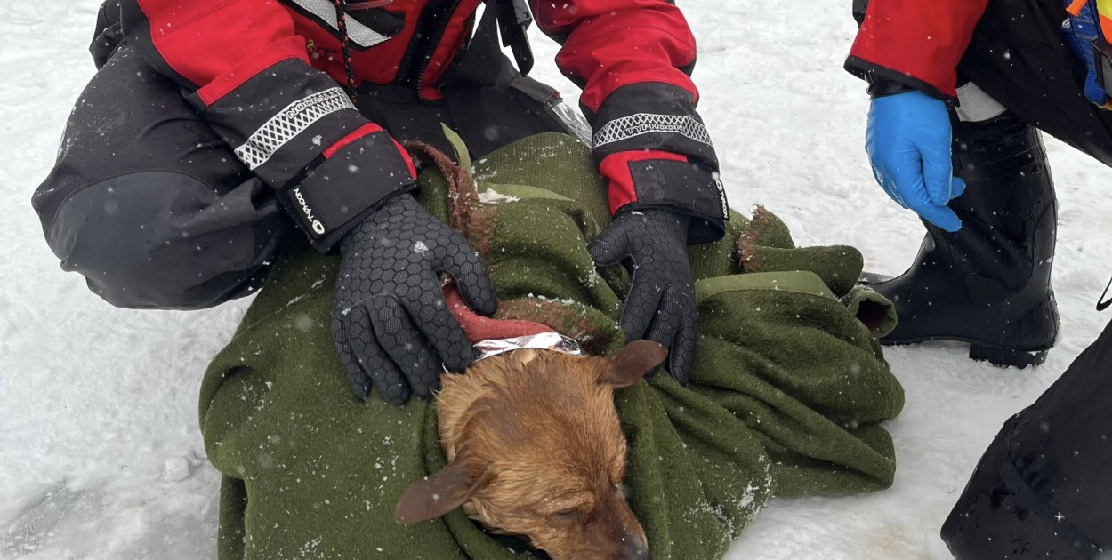 Fot. KP PSP Legionowo