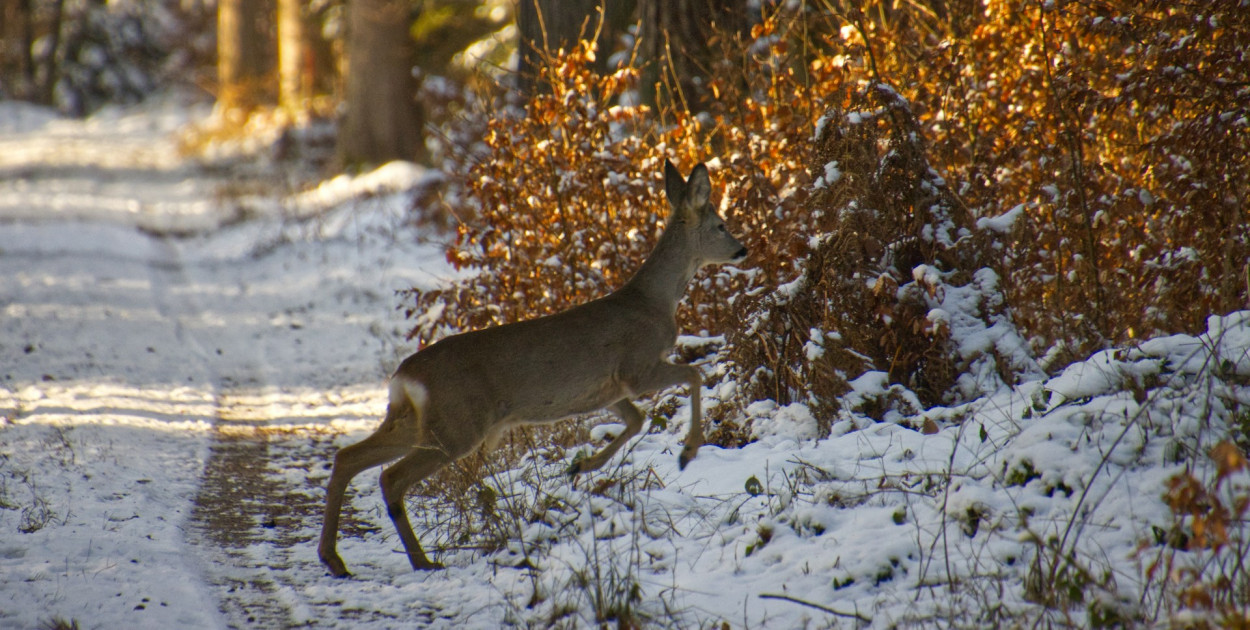 Zdj. ilustracyjne, źródło: unsplash.com