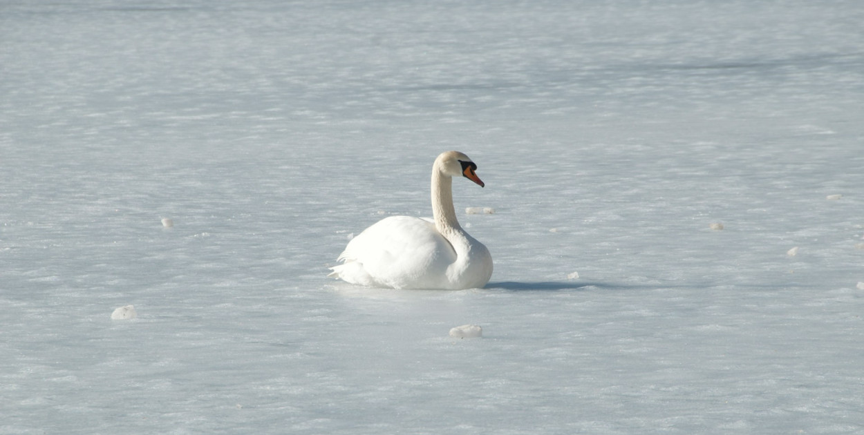 Zdj. ilustracyjne, źródło: unsplash.com