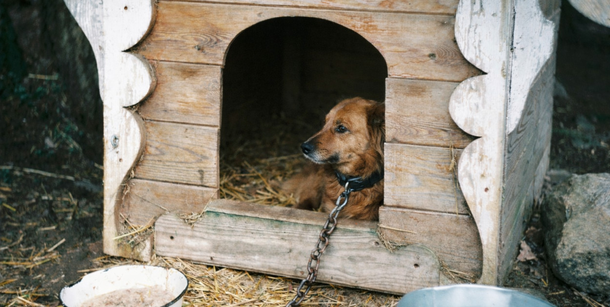 Zdj. ilustracyjne, źródło: unsplash.com przy wsparciu AI