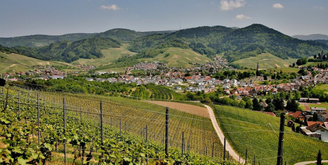 Napa Valley w Kaliforni - road trip i nie tylko