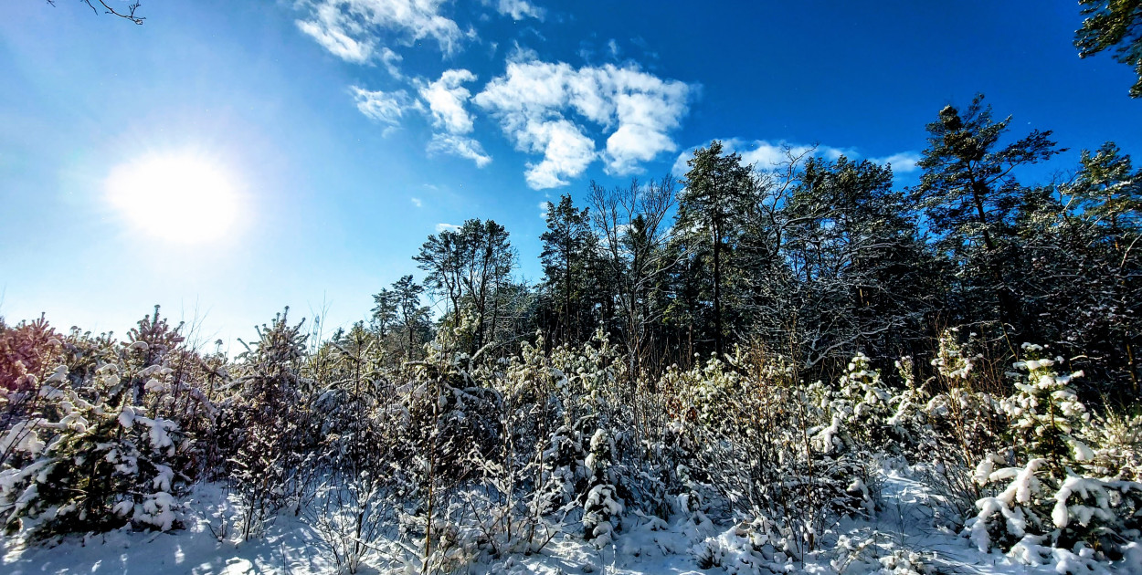 Najzimniejszy weekend tej zimy? IMGW prognozuje spadek temperatury do -18°C