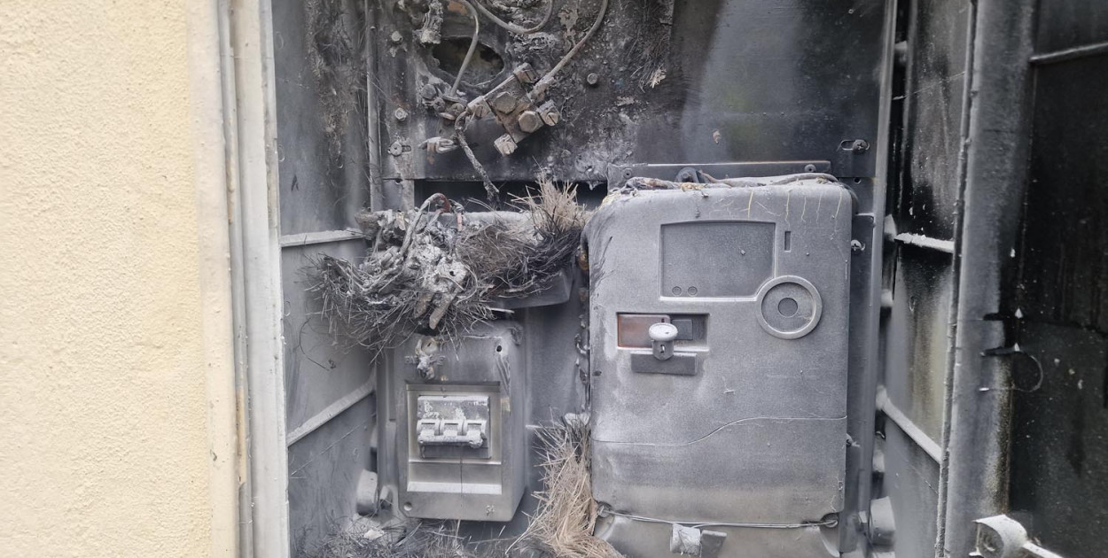 Stasi Las: Pożar skrzynki elektrycznej przy Długiej