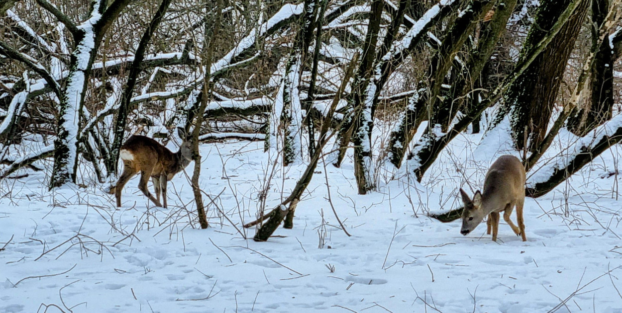 Legionowski: Weekend pod znakiem ocieplenia i deszczu