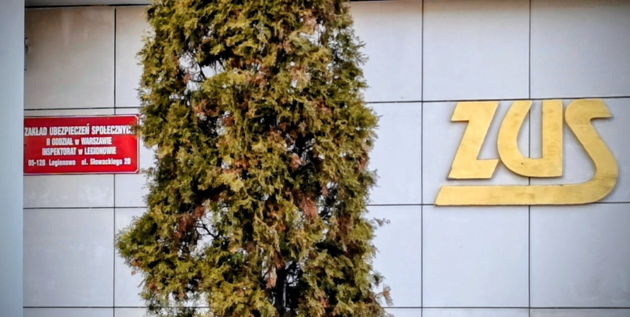 ZUS częściej kontroluje kobiety w ciąży na L4