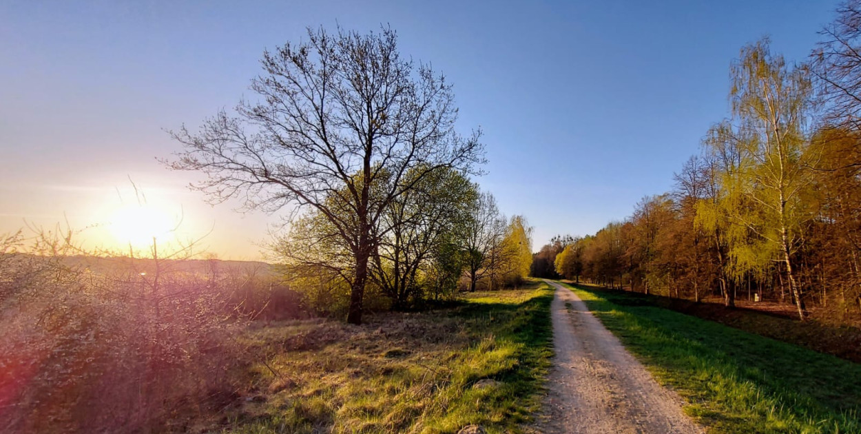 Legionowski: W weekend pogoda miło zaskoczy. To już wiosna?