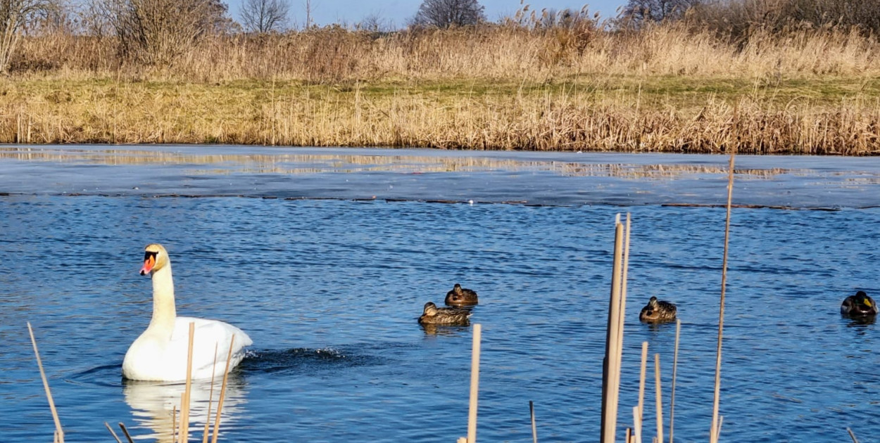 Legionowski: Pogoda w weekend zachwyci. Będzie słonecznie i ciepło