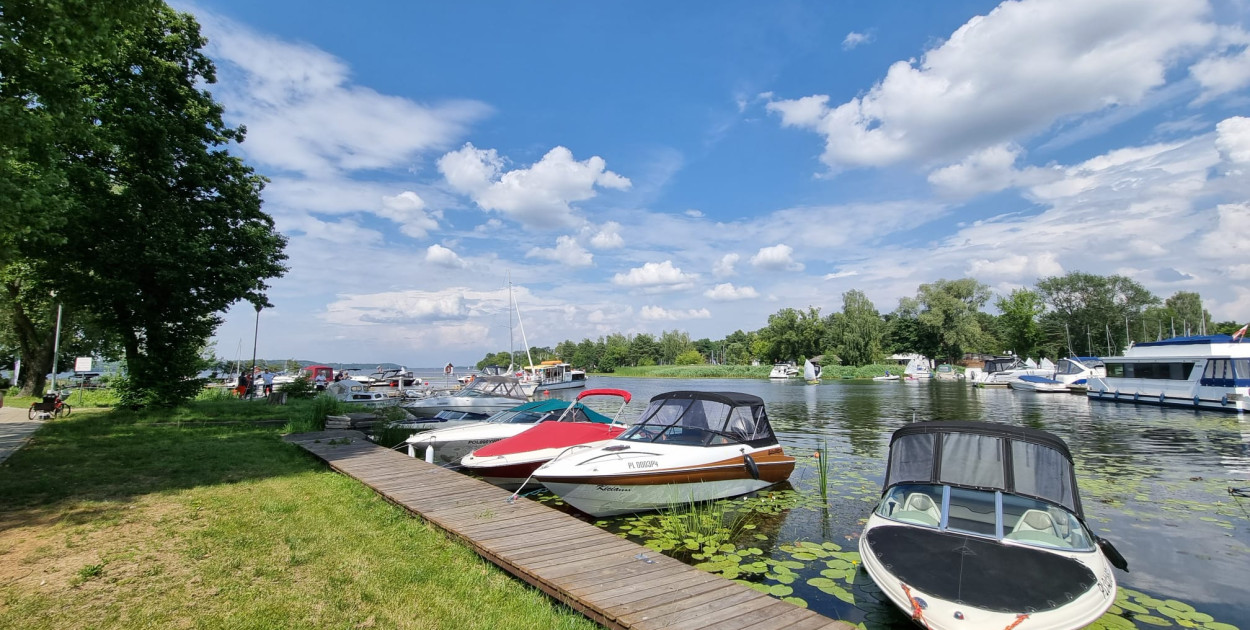 Kampery, namioty i kino plenerowe. Nowa inwestycja turystyczna w Nieporęcie