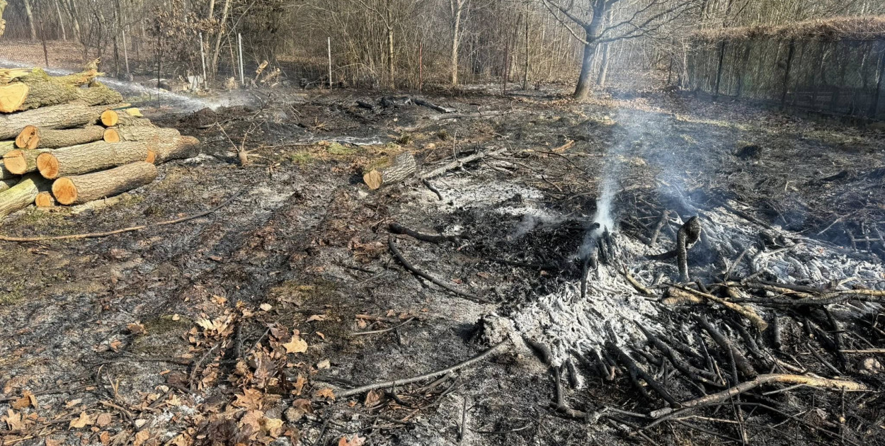Pożar trawy w Jadwisinie. Ogień zagrażał pobliskim budynkom