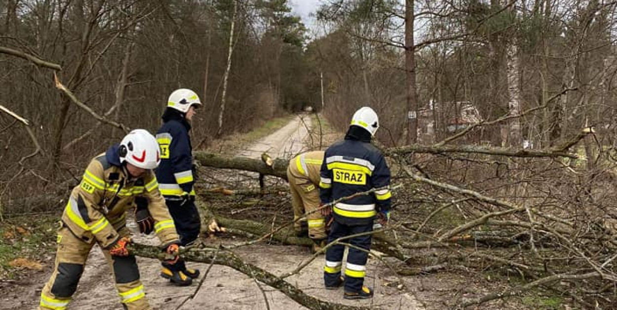 Olszewnica Nowa: Drzewo zagrażało kierowcom