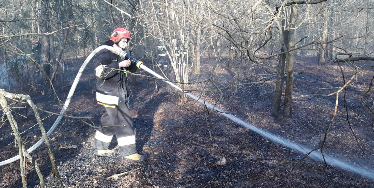 Stanisławów Pierwszy: Płonęły śmieci, zajęła się ściółka leśna