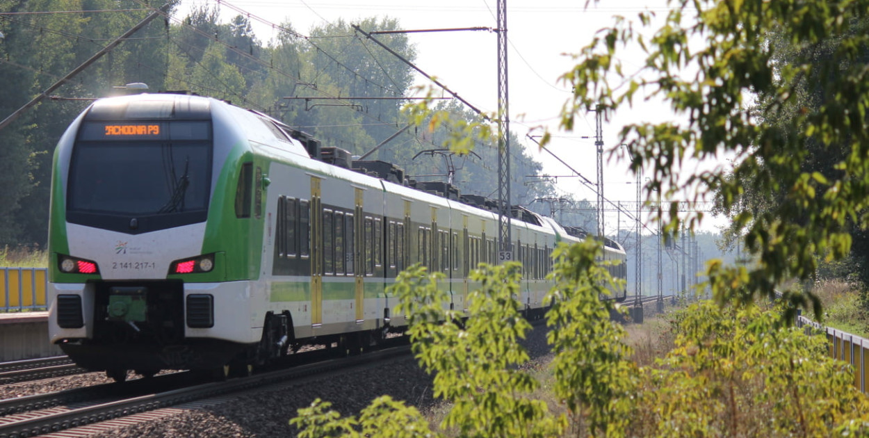 Wraca akcja „Koleją do Natury”. Mazowsze znów zachęca do wycieczek