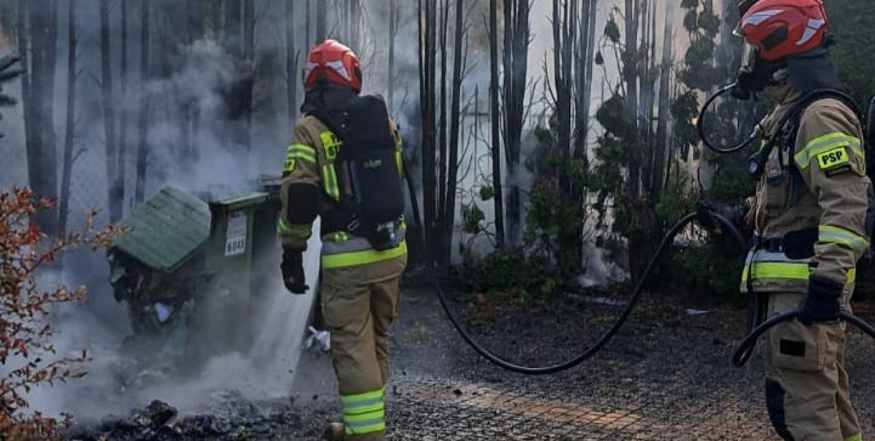 Wieliszew: Przy ul. Niepodległości paliły się tuje. Kierowcy ruszyli z gaśnicami