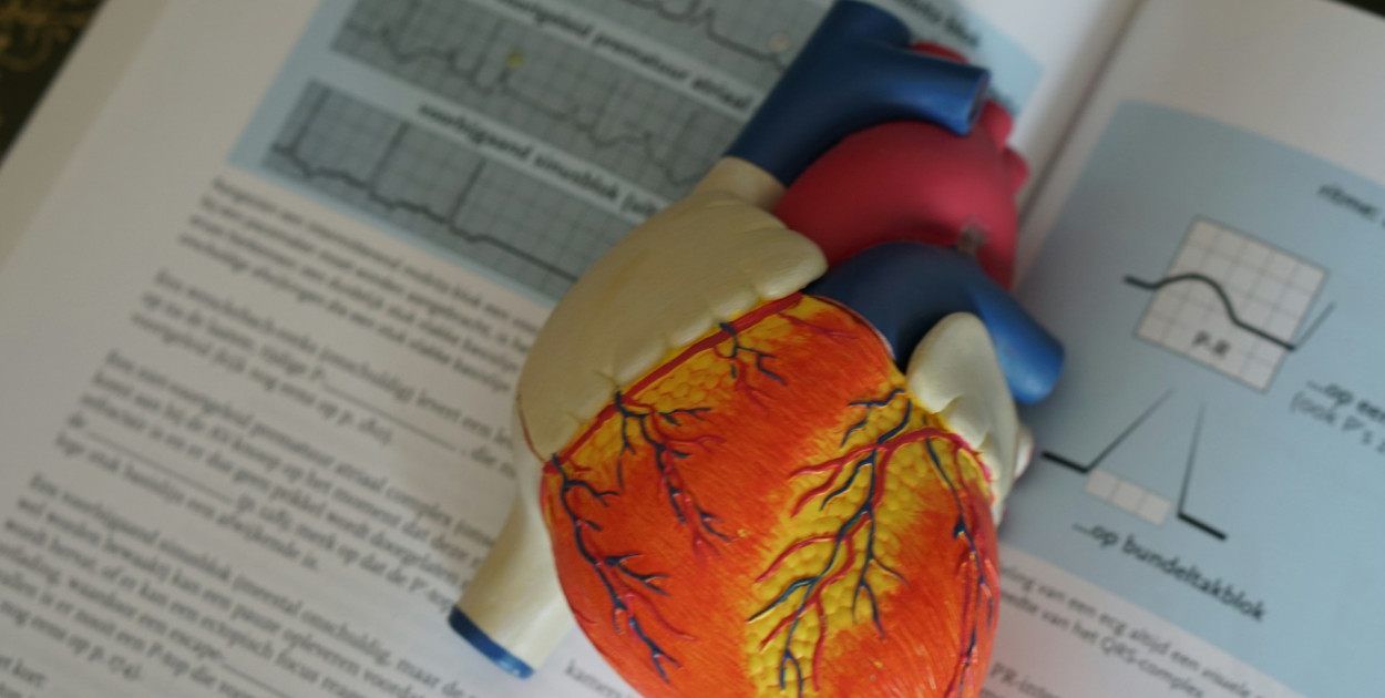 Mikroby jelitowe a choroba wieńcowa. Naukowcy odkryli ważne powiązanie