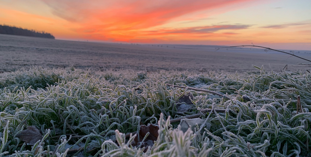 Ostrzeżenie IMGW dla powiatu legionowskiego. W nocy nawet -6°C przy gruncie