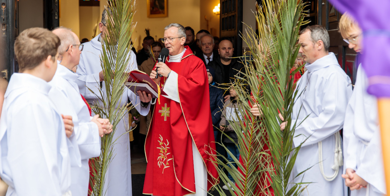 Dlaczego święcimy palmy? Wyjaśniamy symbolikę Niedzieli Męki Pańskiej