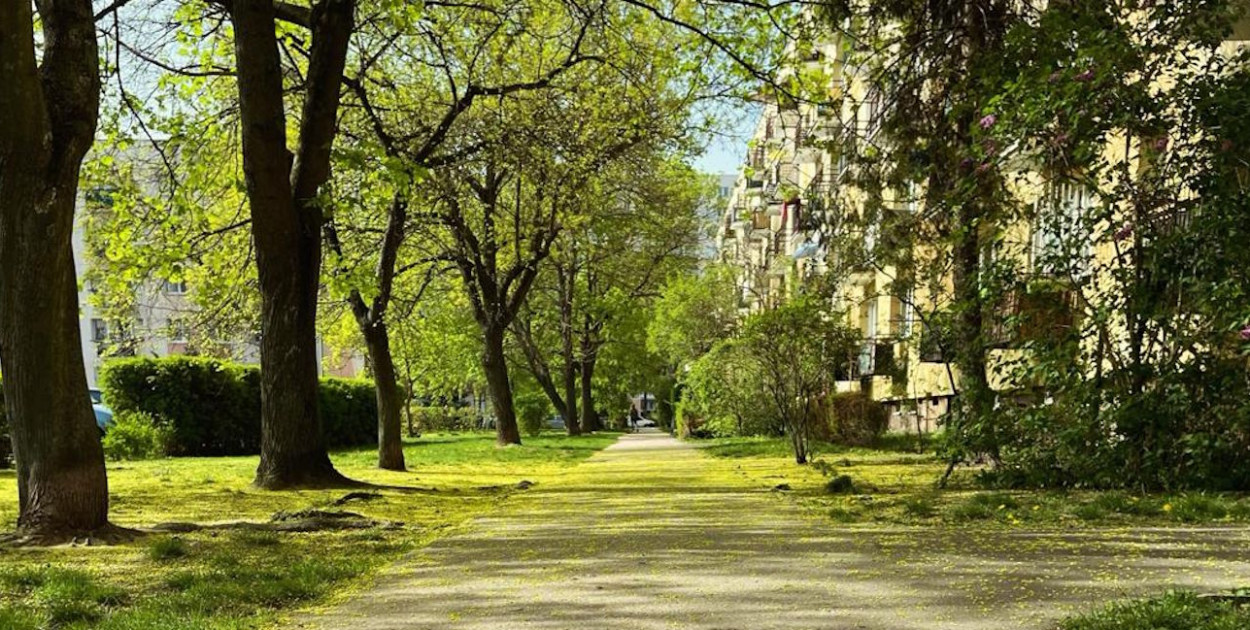 Legionowski: Jaka pogoda w święta? W niedzielę będzie prawie 20 stopni