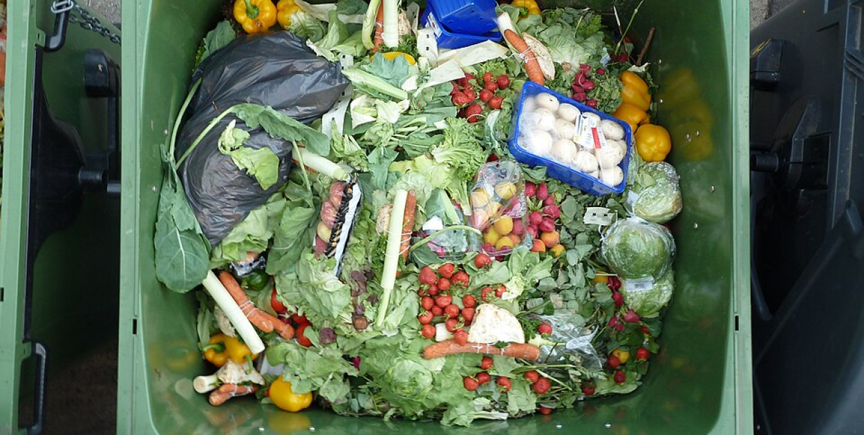 Nawet 3 tys. zł rocznie trafia do kosza. Tyle kosztuje marnowanie żywności