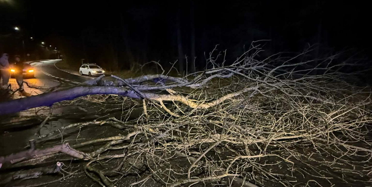 Legionowski: Powalone i uszkodzone drzewa. Pogoda niemiło zaskoczyła